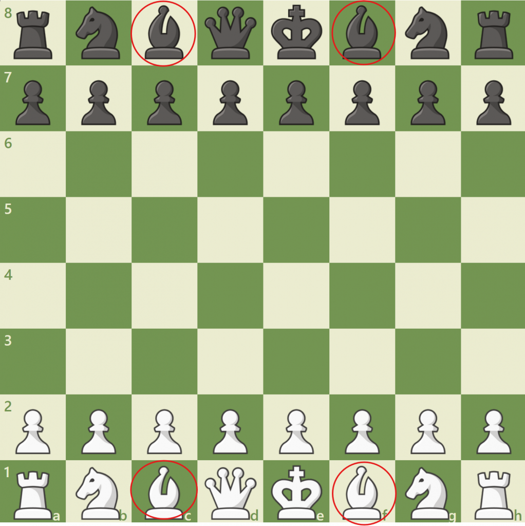 how to setup a chess board for bishop