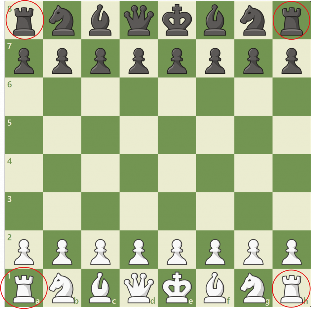 how to setup a chess board for rooks